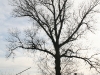 img_5494.jpg
